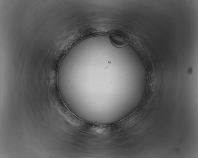 X0000116680563200912291722