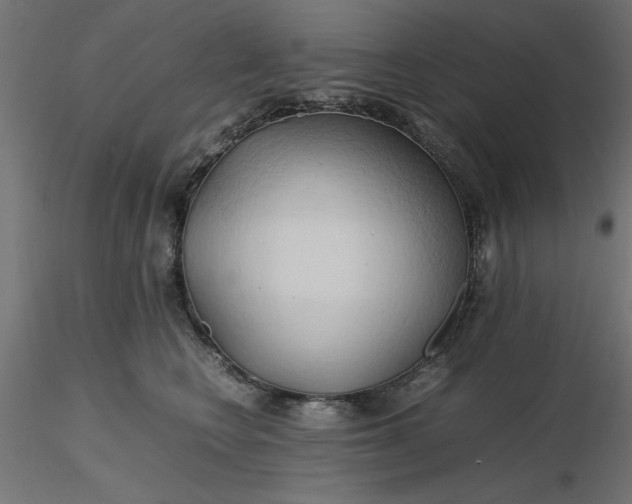 X0000116680566200912291722