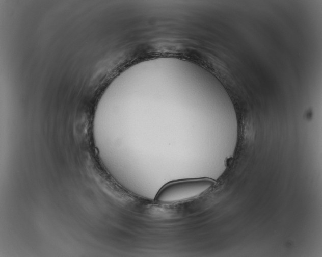 X0000116680567200912291722