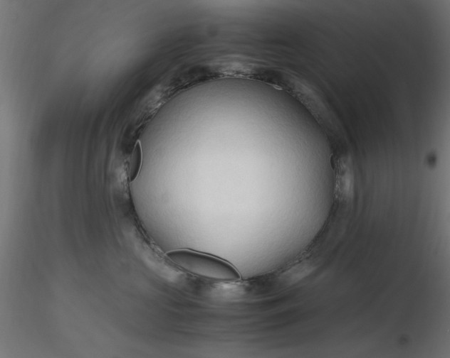 X0000116680573200912291722