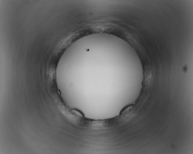 X0000116680574200912291722