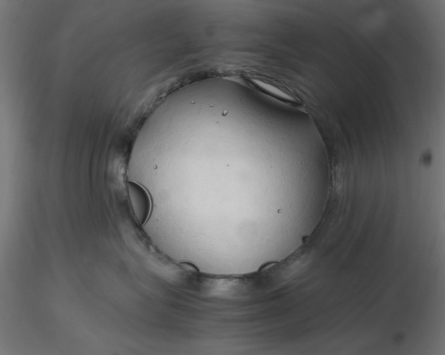 X0000116680575200912291722