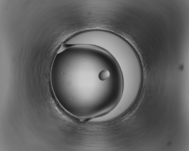 X0000116680577200912291721