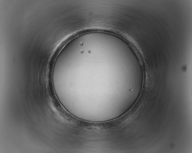 X0000116680580200912291721