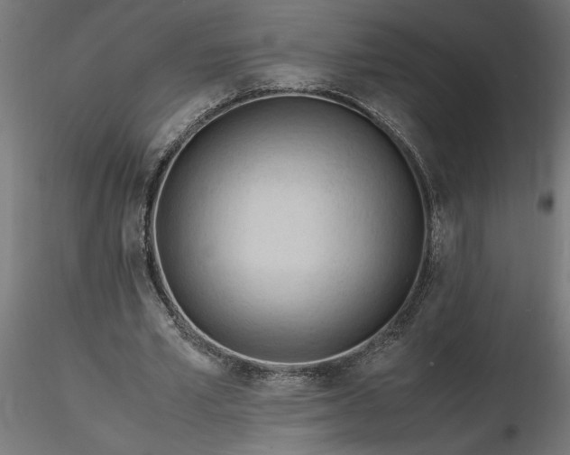 X0000116680581200912291721