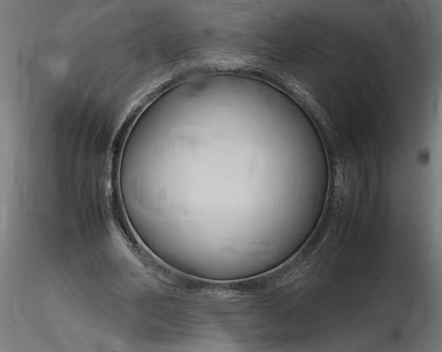 X0000116680582200912291721