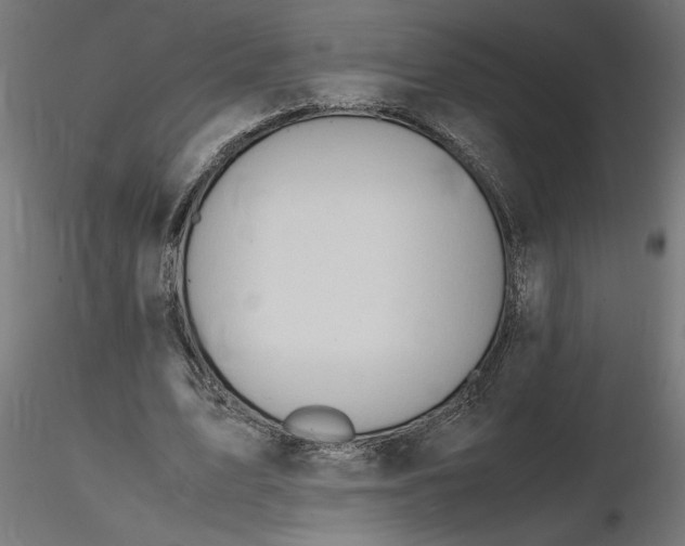 X0000116680583200912291721