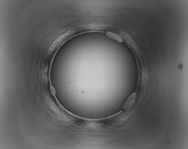 X0000116680585200912291721