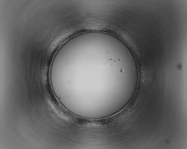 X0000116680586200912291721