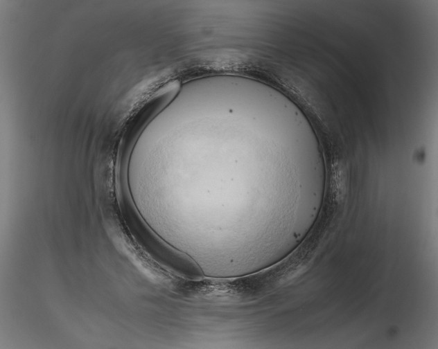 X0000116680589200912291721