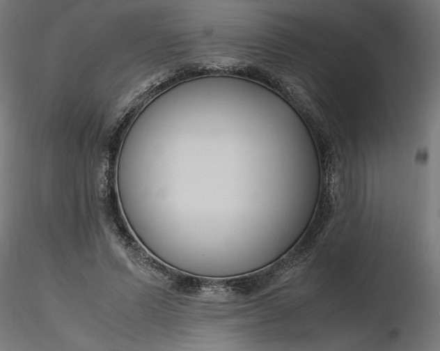 X0000116680591200912291721