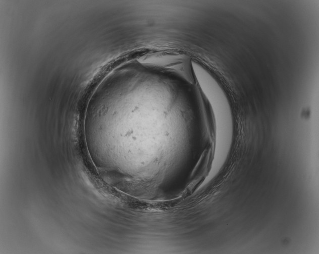 X0000116680592200912291721