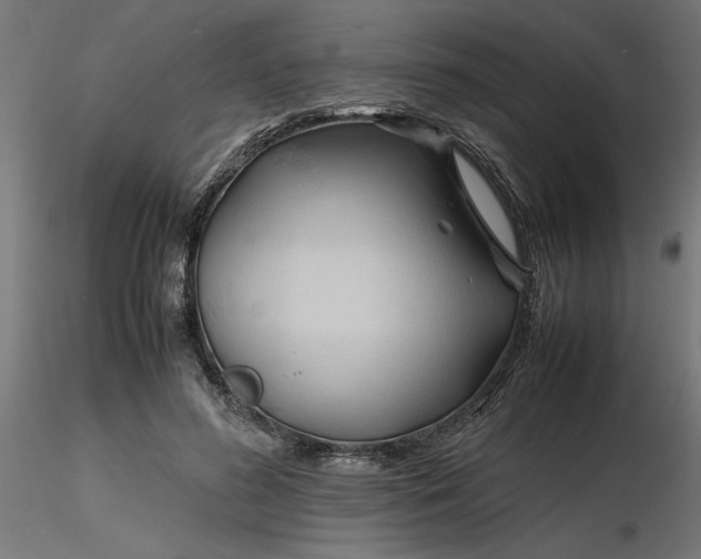 X0000116680596200912291721