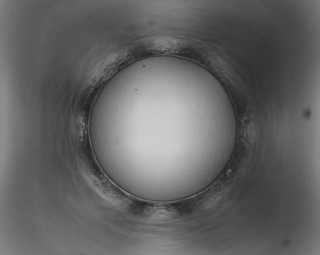 X0000116680597200912291721