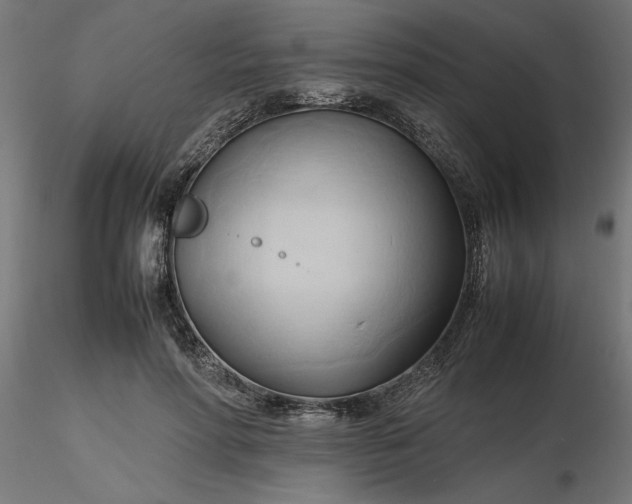 X0000116680598200912291721