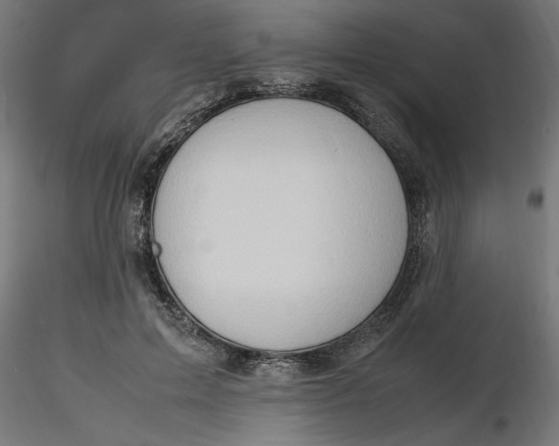 X0000116680599200912291721