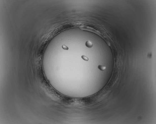 X0000116680601200912291721