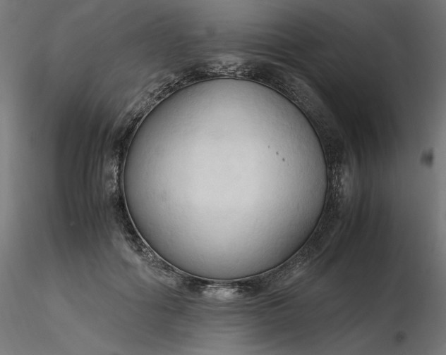 X0000116680602200912291721