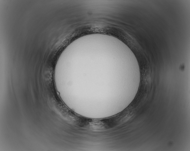 X0000116680603200912291721