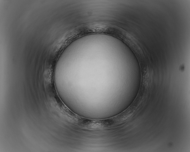 X0000116680604200912291721