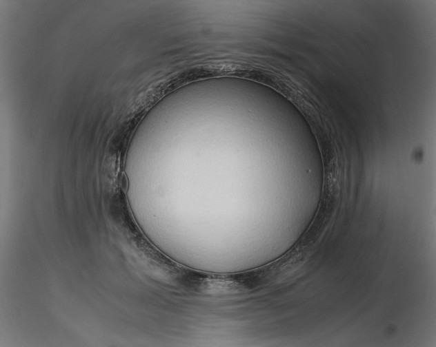 X0000116680605200912291721