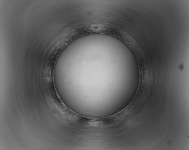 X0000116680606200912291721