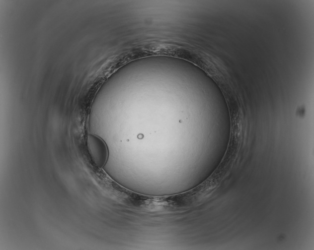 X0000116680607200912291721