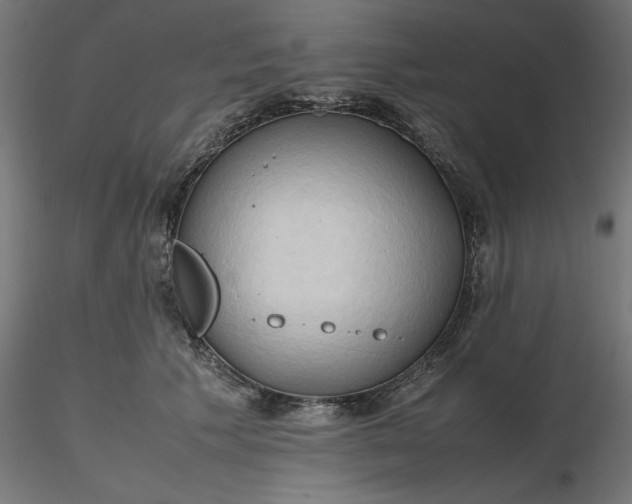 X0000116680609200912291721