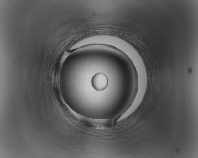 X0000116680611200912291721