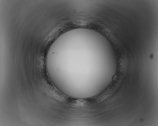 X0000116680612200912291721