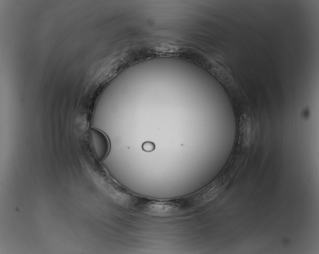 X0000116680614200912291721