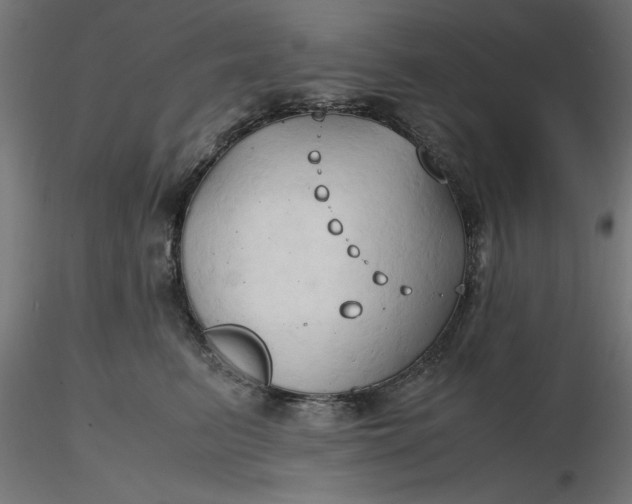 X0000116680615200912291721