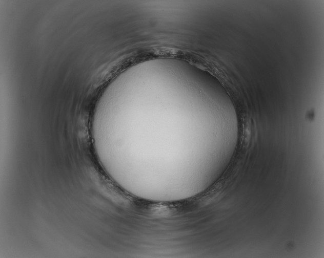 X0000116680616200912291721