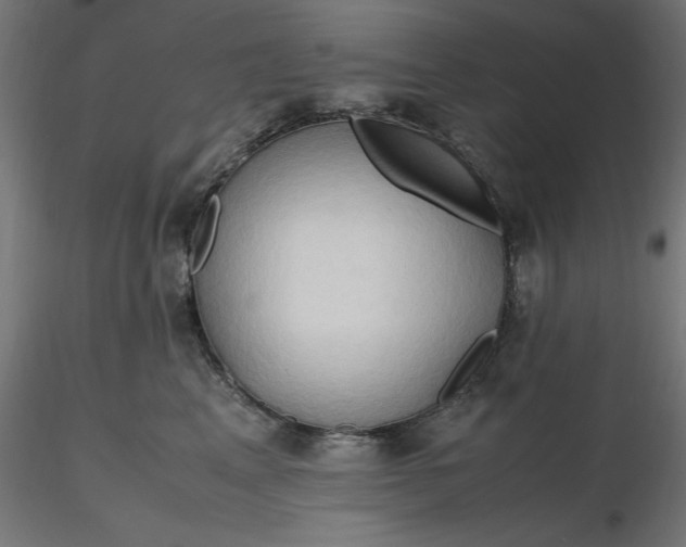 X0000116680617200912291721