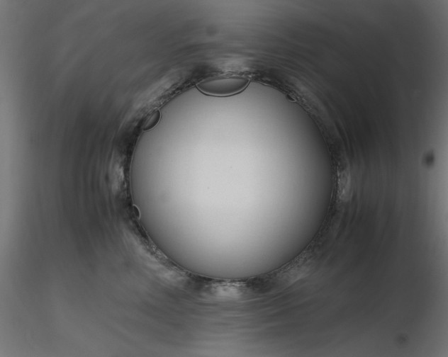 X0000116680618200912291721