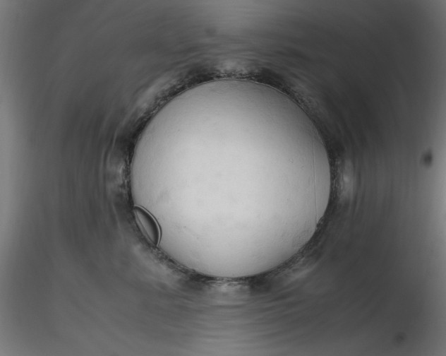 X0000116680619200912291721