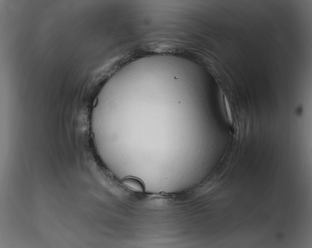 X0000116680620200912291721