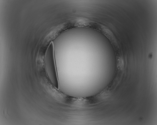 X0000116680621200912291721