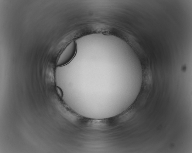 X0000116680622200912291721