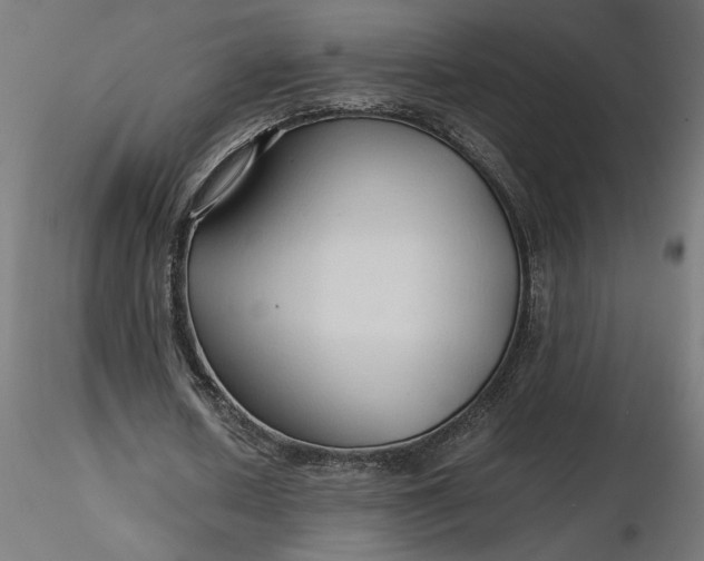 X0000116680626200912291720