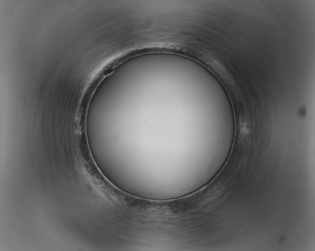 X0000116680628200912291720