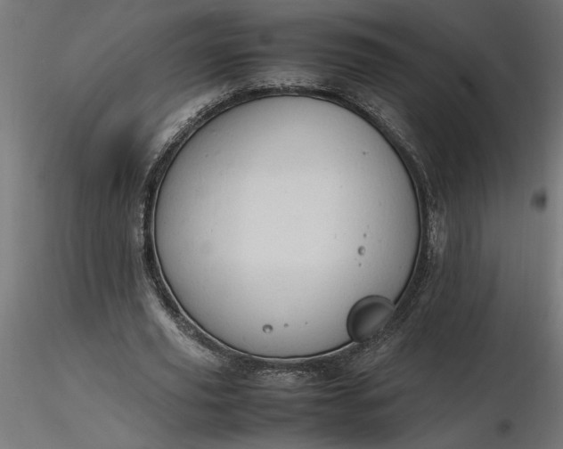 X0000116680629200912291720