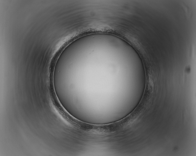 X0000116680630200912291720