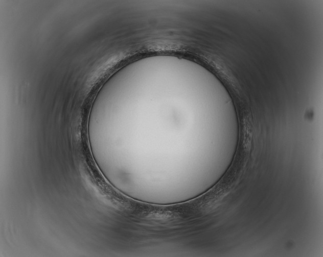 X0000116680631200912291720