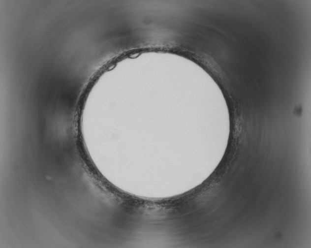 X0000116680632200912291720