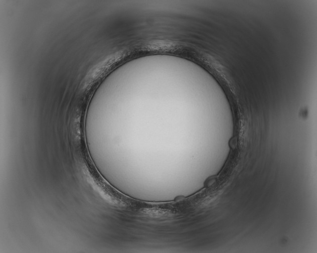 X0000116680633200912291720