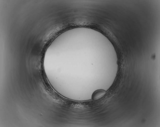 X0000116680635200912291720