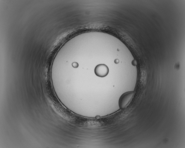 X0000116680636200912291720