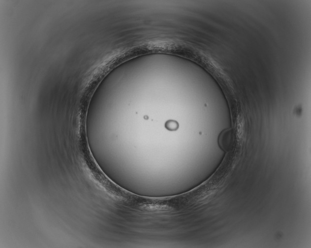 X0000116680637200912291720