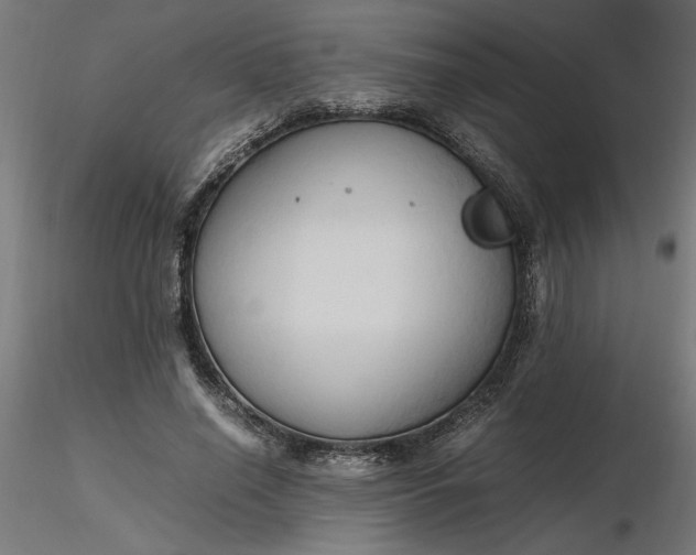 X0000116680638200912291720